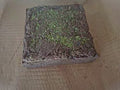Cocoa rustic, mint, pepper and lemon scented - Natural plant-based powder