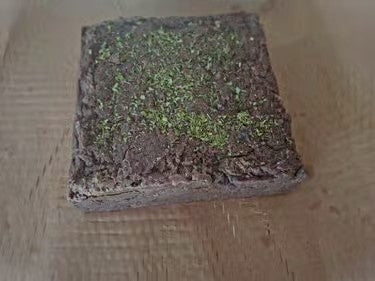 Cocoa rustic, mint, pepper and lemon scented - Natural plant-based powder